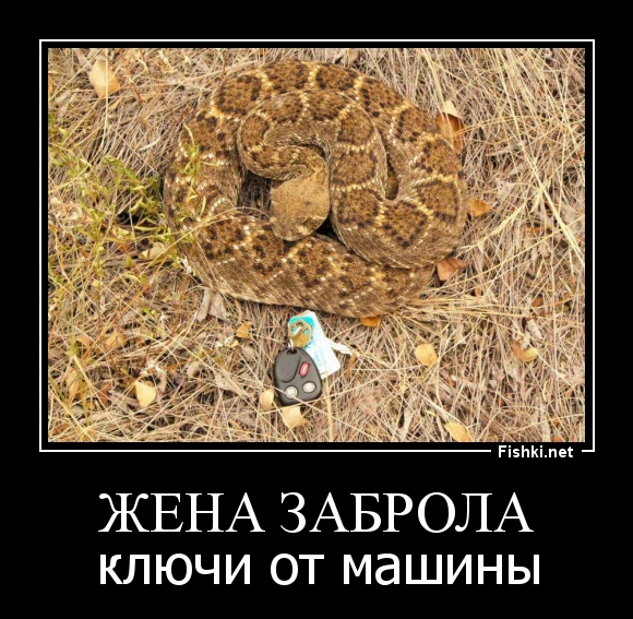 Жена заброла