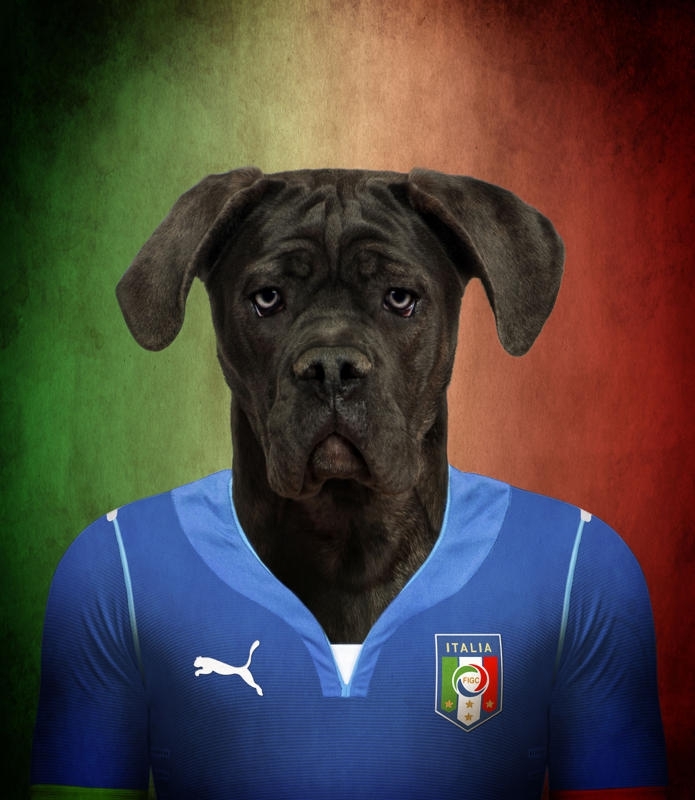 Собаки как игроки Чемпионата мира по футболу