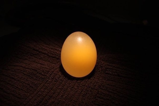 Яйцо и уксус – эксперимент