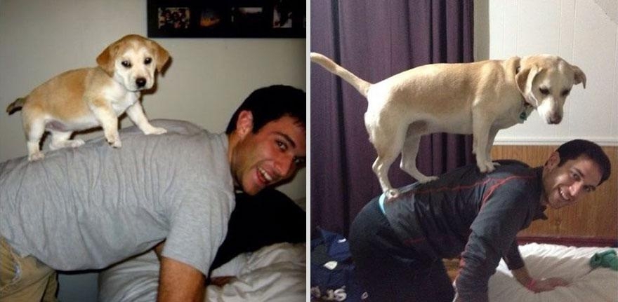 Наши  любимые животные: фото до  и после взросления