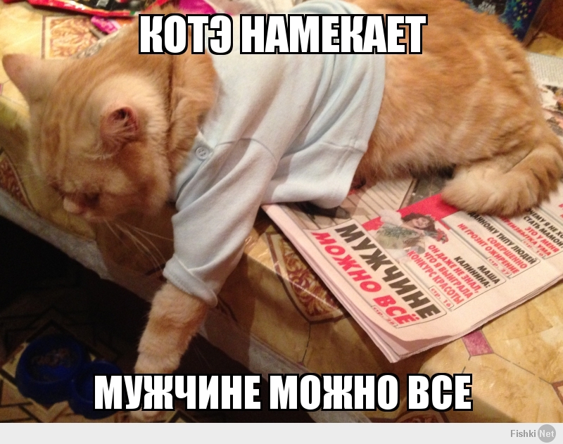 Котэ намекает