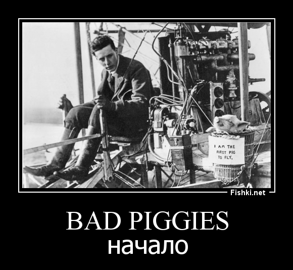 Bad piggies