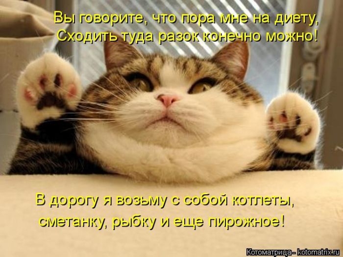 Котоматрицы - лучшее собрание!