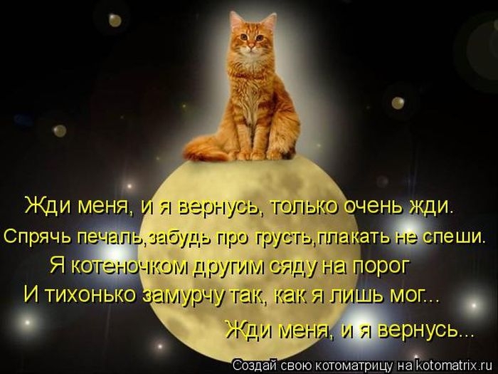 Котоматрицы - лучшее собрание!