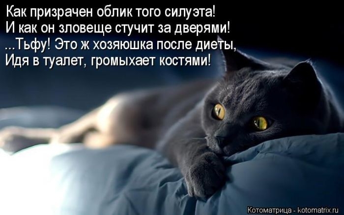 Котоматрицы - лучшее собрание!