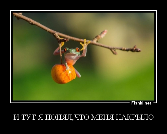 И тут я понял,что меня накрыло