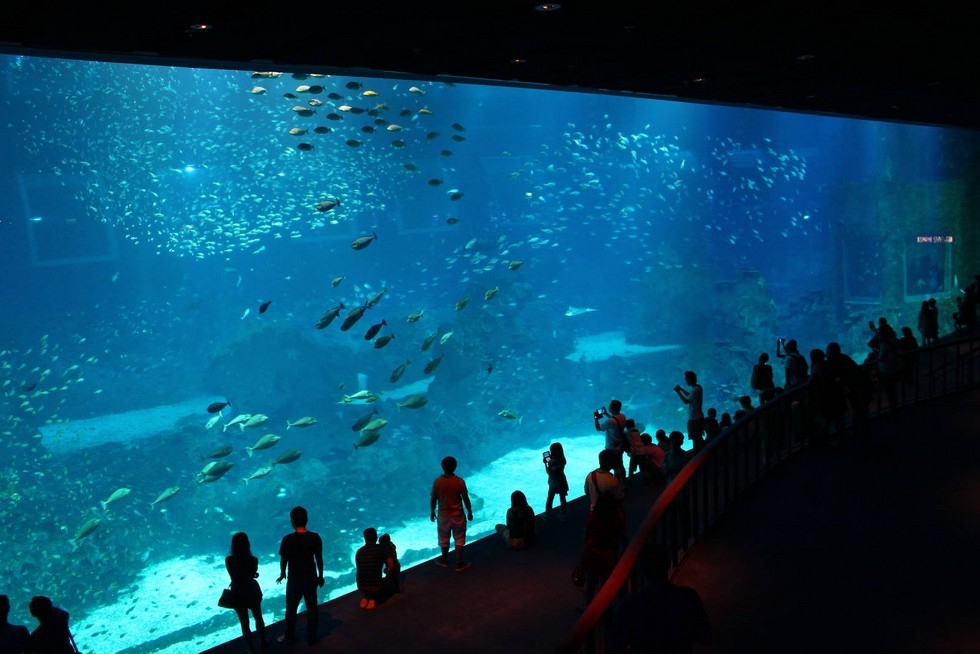 S.E.A Aquarium: крупнейший океанариум на планете