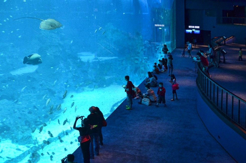 S.E.A Aquarium: крупнейший океанариум на планете