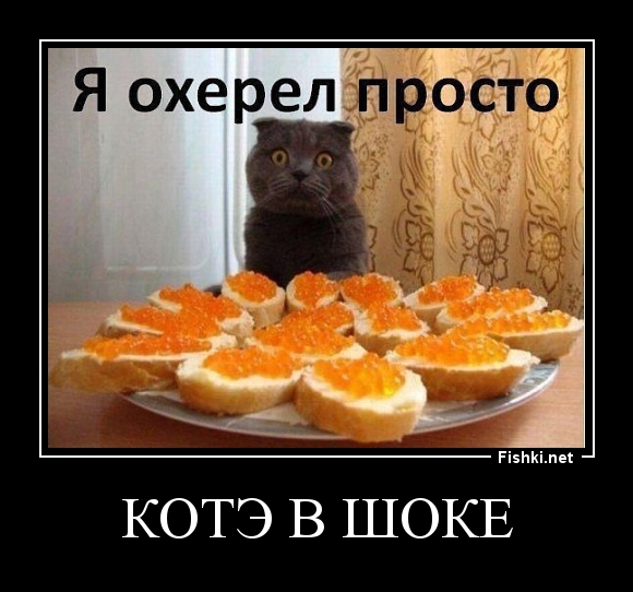 КОТЭ в шоке