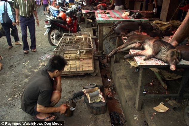 На рынке в Индонезии продают обугленных собак, крыс и обезьян