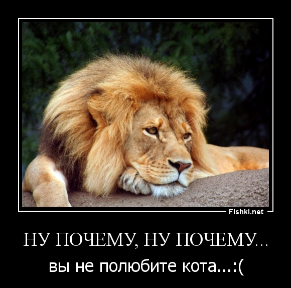 Ну почему, ну почему...