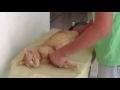 Как правильно гладить кошку! 