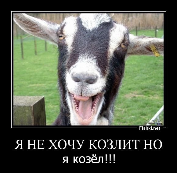 Я не хочу козлит но