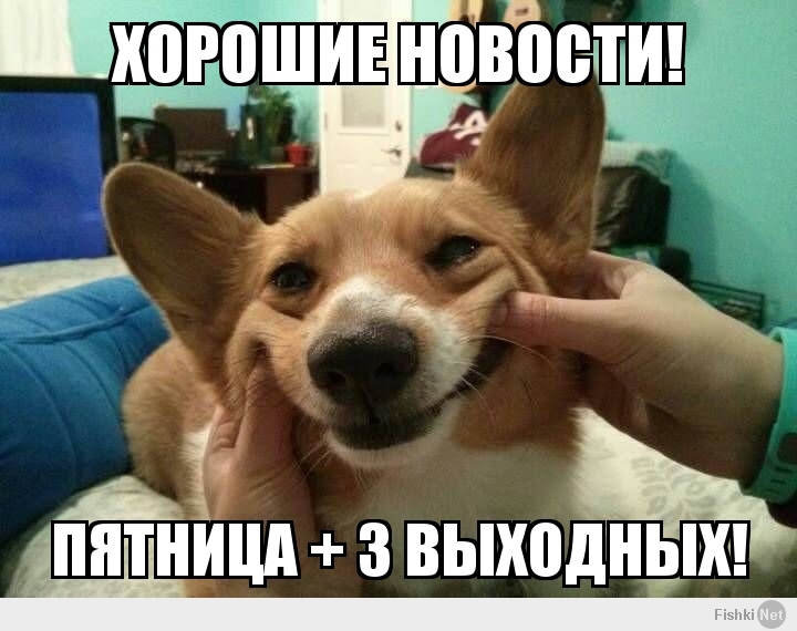 Хорошие новости!