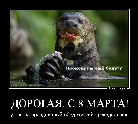 Дорогая, с 8 МАРТА!