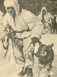 Собаки-герои Великой Отечественной войны