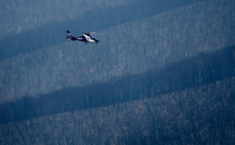 Заблудившийся турист три недели питался насекомыми