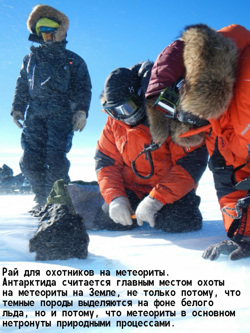 40 фактов об Антарктиде (фото)