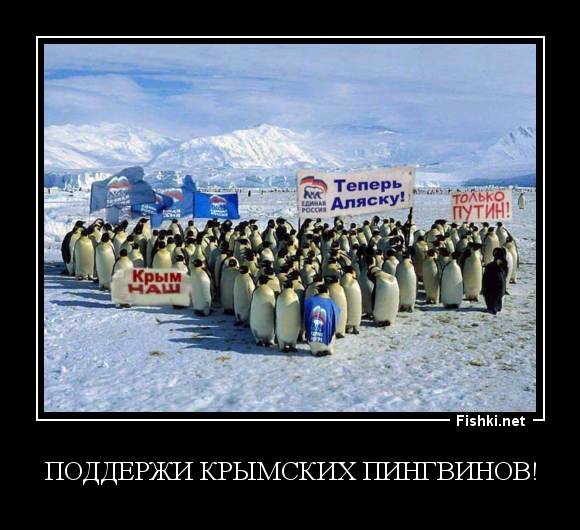 Поддержи Крымских пингвинов!