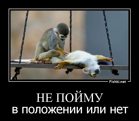 не пойму
