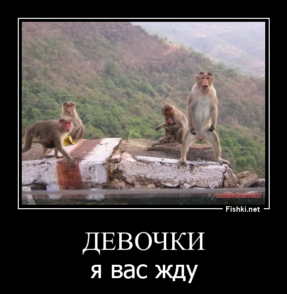 девочки