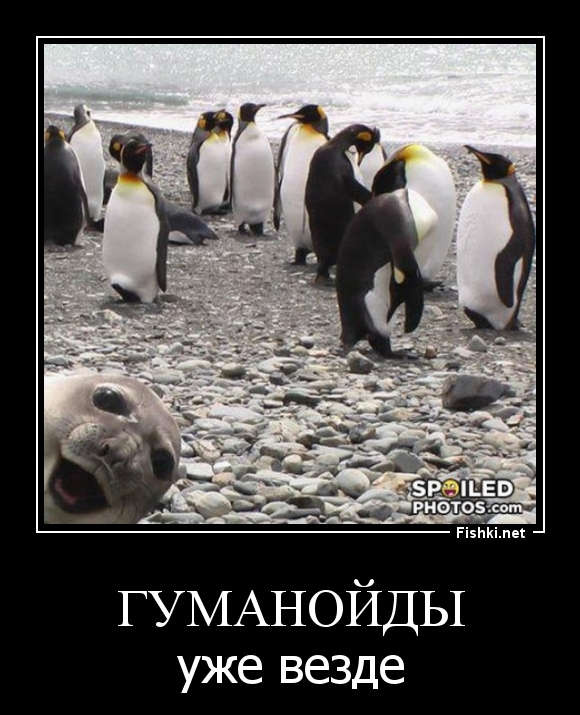гуманойды