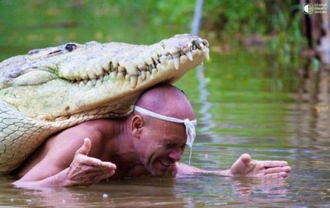 Дружба человека с крокодилом