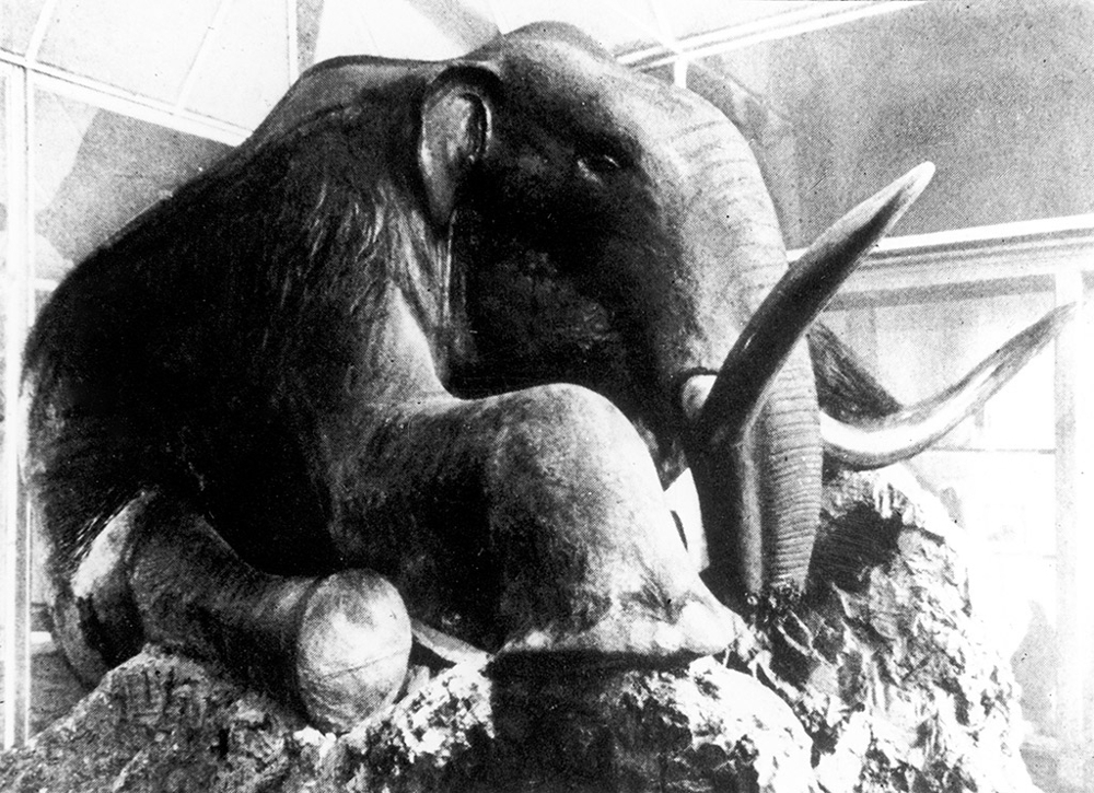 В Якутии ученые заявили о возможности клонирования мамонта
