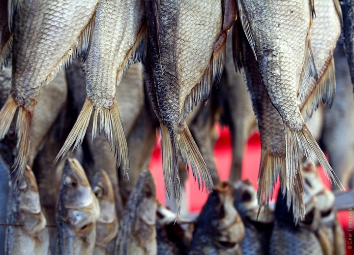 Пост под пиво или одесский рыбный рынок «Привоз»… (35 фото)