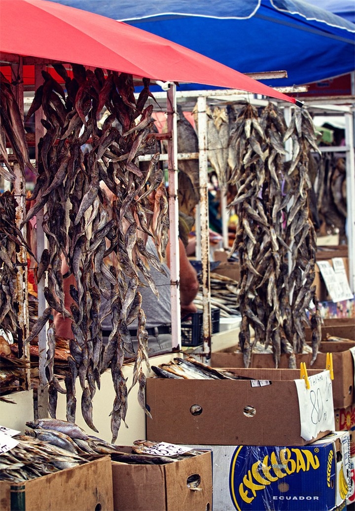 Пост под пиво или одесский рыбный рынок «Привоз»… (35 фото)