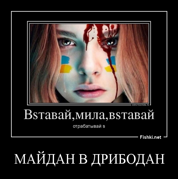 майдан в дрибодан