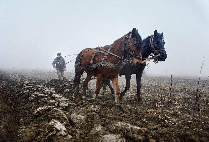 Красивые фотографии