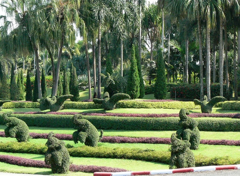 ТАИЛАНД. ТРОПИЧЕСКИЙ САД НОНГ НУЧ (Nong Nooch Tropical Garden)