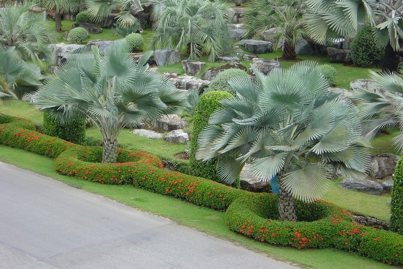 ТАИЛАНД. ТРОПИЧЕСКИЙ САД НОНГ НУЧ (Nong Nooch Tropical Garden)