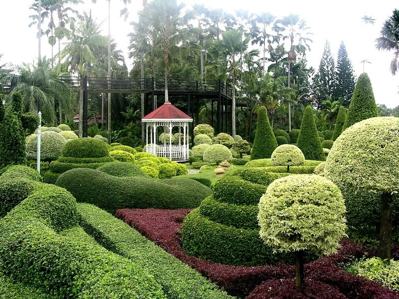ТАИЛАНД. ТРОПИЧЕСКИЙ САД НОНГ НУЧ (Nong Nooch Tropical Garden)