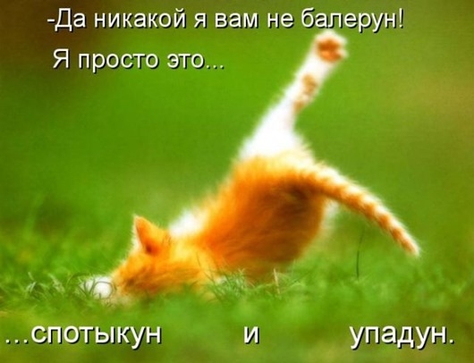 Весенний котопост