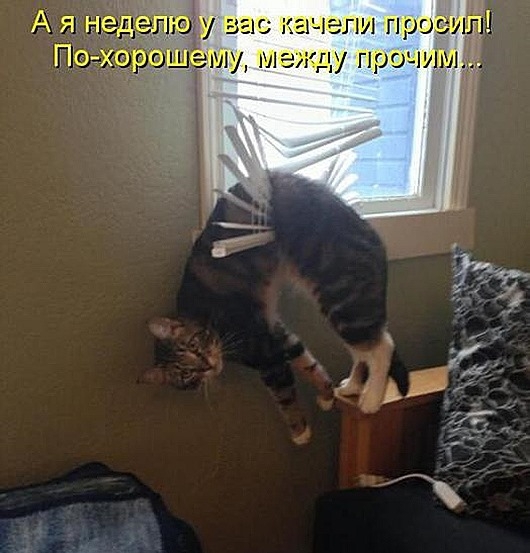 Весенний котопост