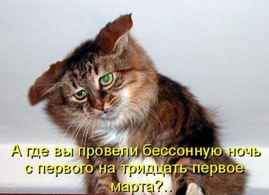 Весенний котопост