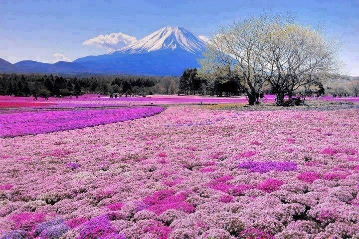 Вулкан Фудзияма, Япония 