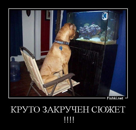 Круто закручен сюжет