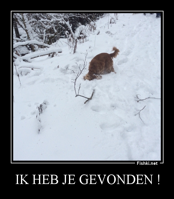 Ik heb je gevonden !