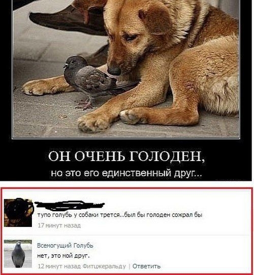 Шедевры "Фишек" 