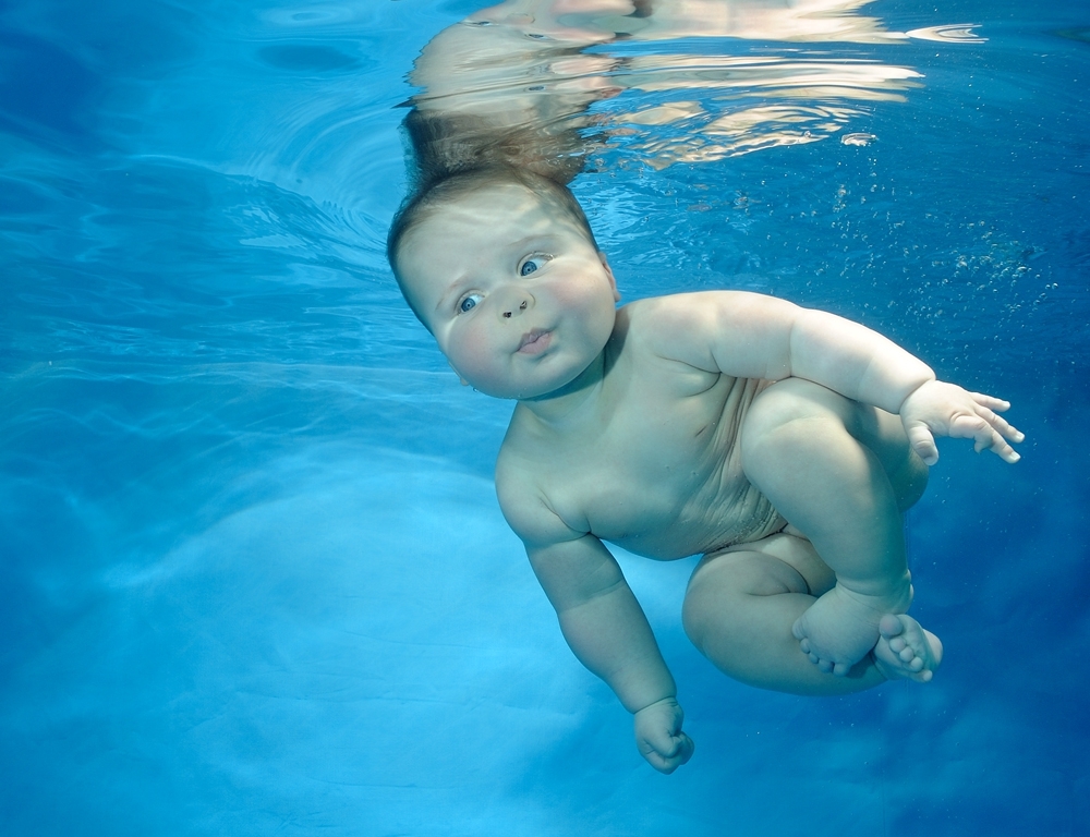 Малыши под водой... Фотограф Phil Shaw