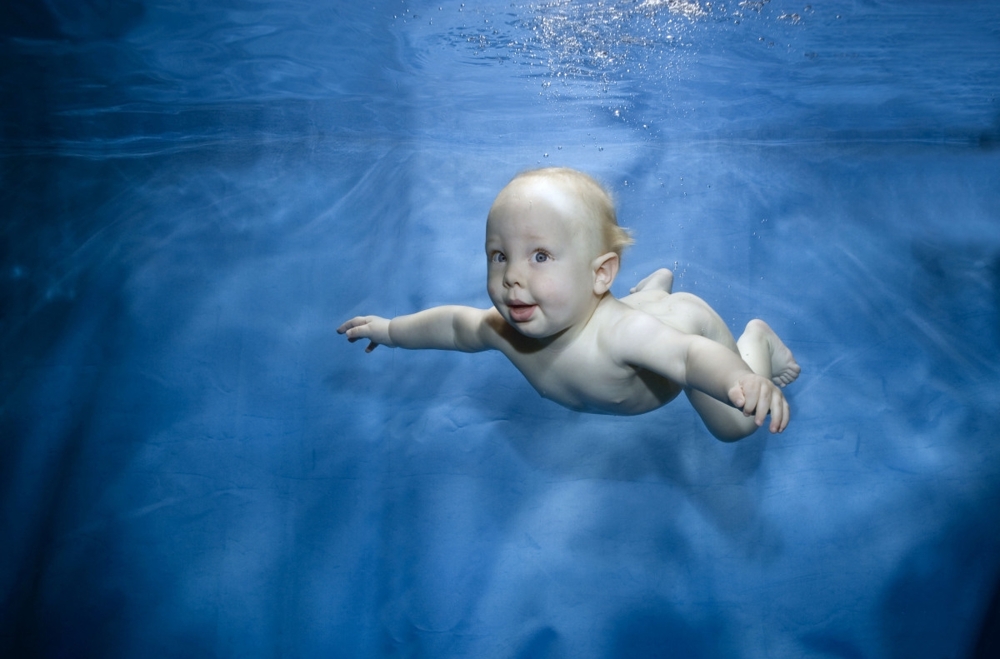 Малыши под водой... Фотограф Phil Shaw