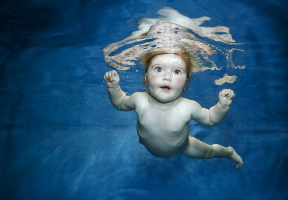 Малыши под водой... Фотограф Phil Shaw