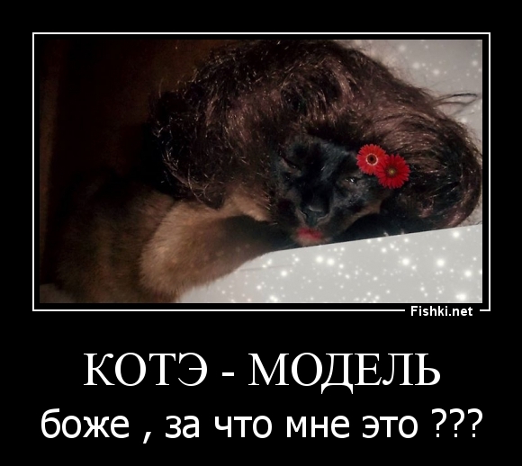 КОТЭ - МОДЕЛЬ