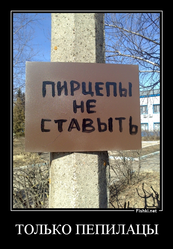 Только Пепилацы