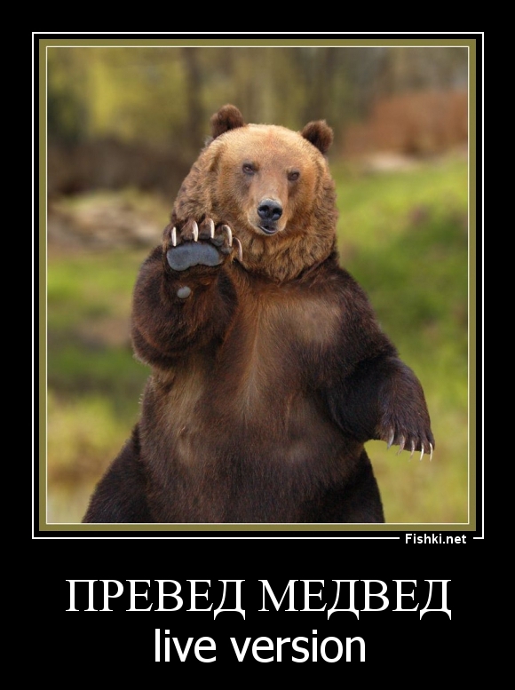 ПРЕВЕД МЕДВЕД
