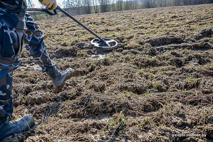 В поисках сокровищ 