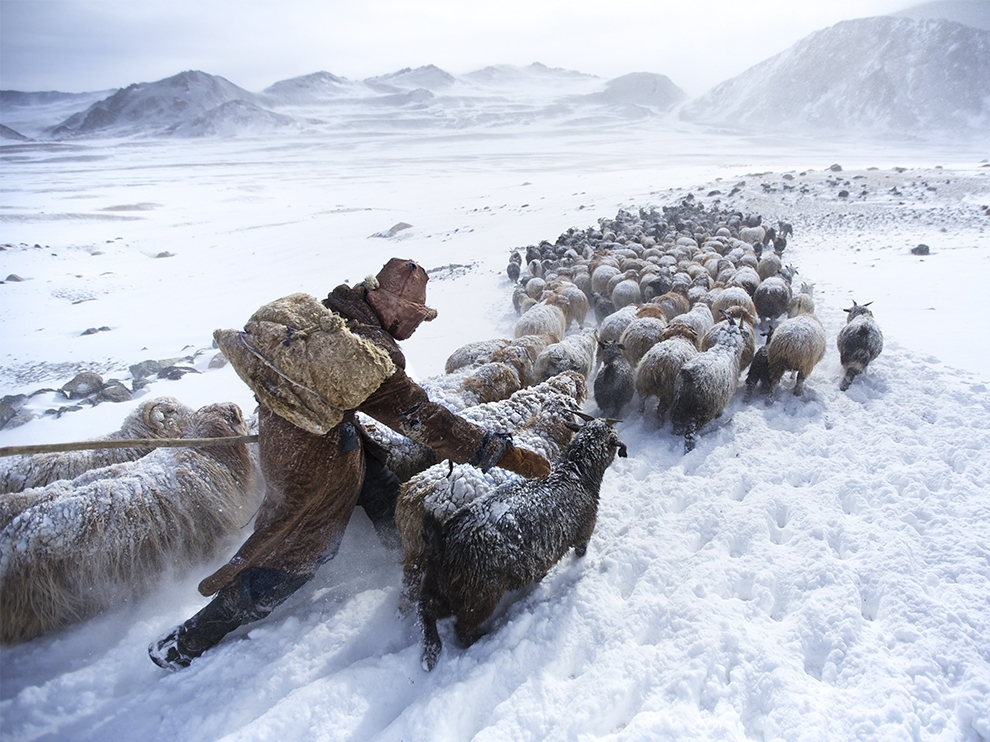 Лучшие фотографии марта от National Geographic